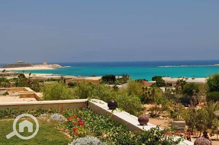 9 bf4780e5-2b8c-4f84-b808-9b62f6c4e5f5. jpeg