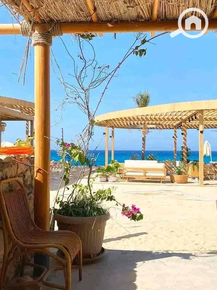 3 dc2ddd23-0b7f-4ff3-81d0-7cde8641e7f0. jpg