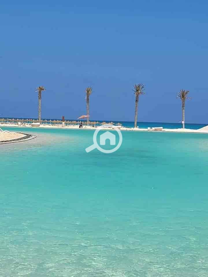 7 f799226b-5d3e-4fea-909b-44ce3fe6e738. jpg