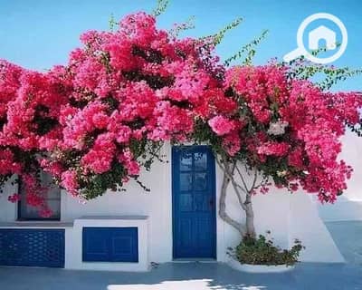 4 Bedroom Townhouse for Sale in North Coast, Matruh - dbcfbcb6-18a6-4c00-9c36-ed15c3099d26. jpg