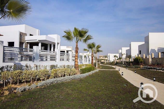 7 2017-11-21 (2). jpg