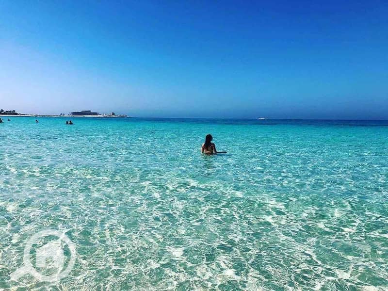 4 646c0fb7-04ed-47eb-b351-e50436ffe2a8. jpg