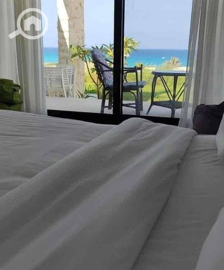 12 7db8307a-ca85-43d3-a611-03c01625b3a9. jpg