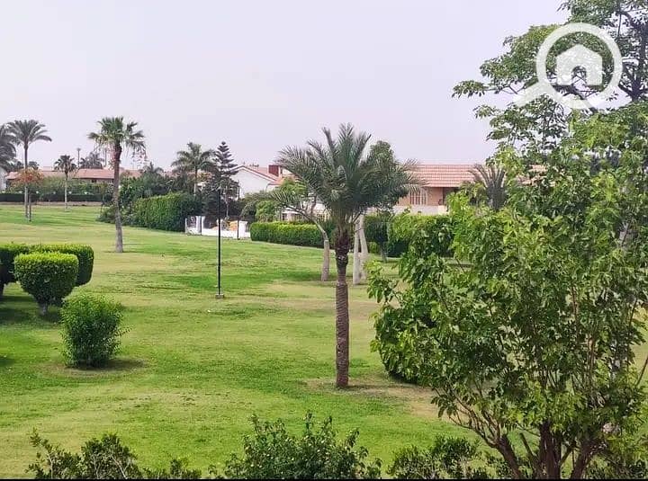 3 IMG_٢٠٢٥٠٣٢٠_١٢٥١٠١. jpg