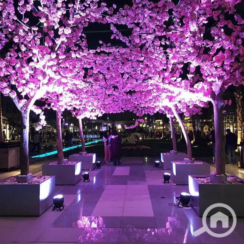 5 33995165_831874503682062_2900161359360557056_n. jpg