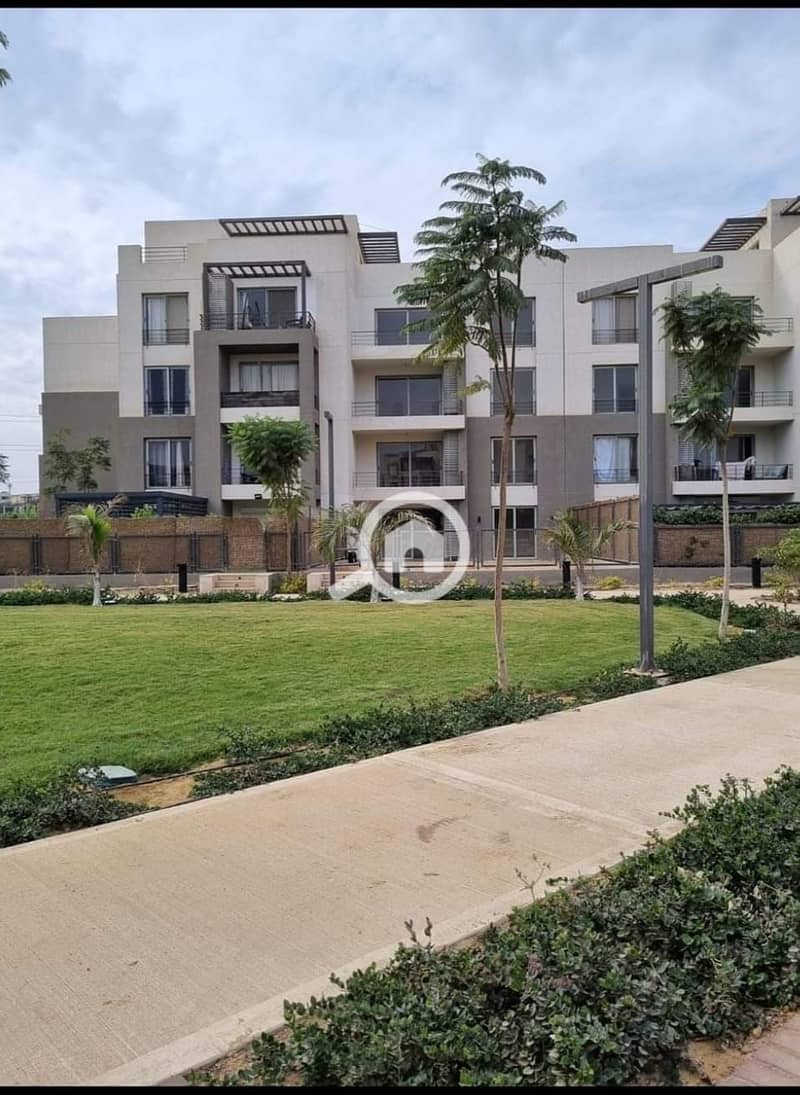 7 453504606_1022362499597966_6405552178442499208_n. jpg