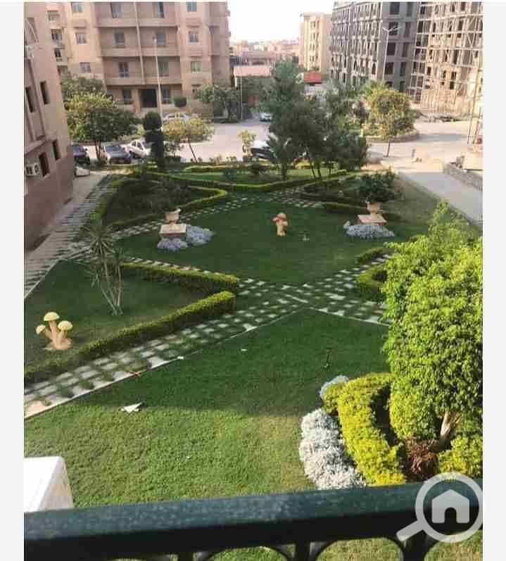 4 IMG_٢٠٢٥١٠٠١_١٢٠٨١٧. jpg