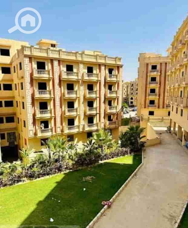 6 IMG_٢٠٢٥١٠٠١_١٢٠٧٥١. jpg