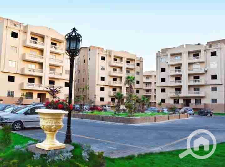 7 IMG_٢٠٢٥١٠٠١_١٢٠٧١٠. jpg