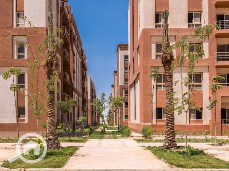 4 WhatsApp Image 2025-04-29 at 11.11. 05 PM (2). jpeg