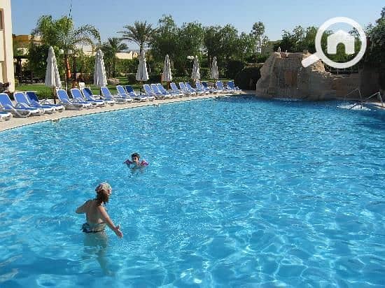 26 stella-di-mare-piscina. jpg