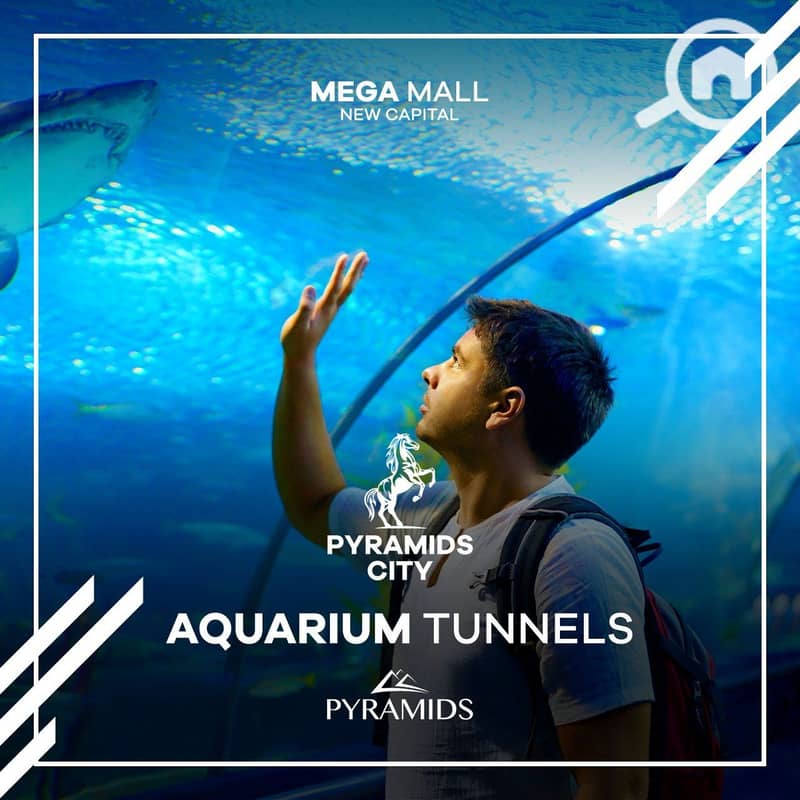 8 280657664_542210914291453_7804829884114572489_n. jpg