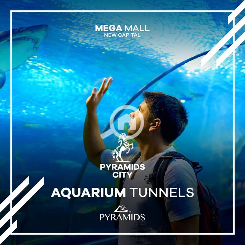 9 280657664_542210914291453_7804829884114572489_n. jpg