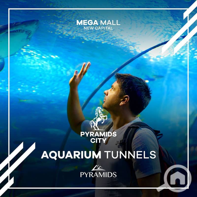 5 280657664_542210914291453_7804829884114572489_n. jpg