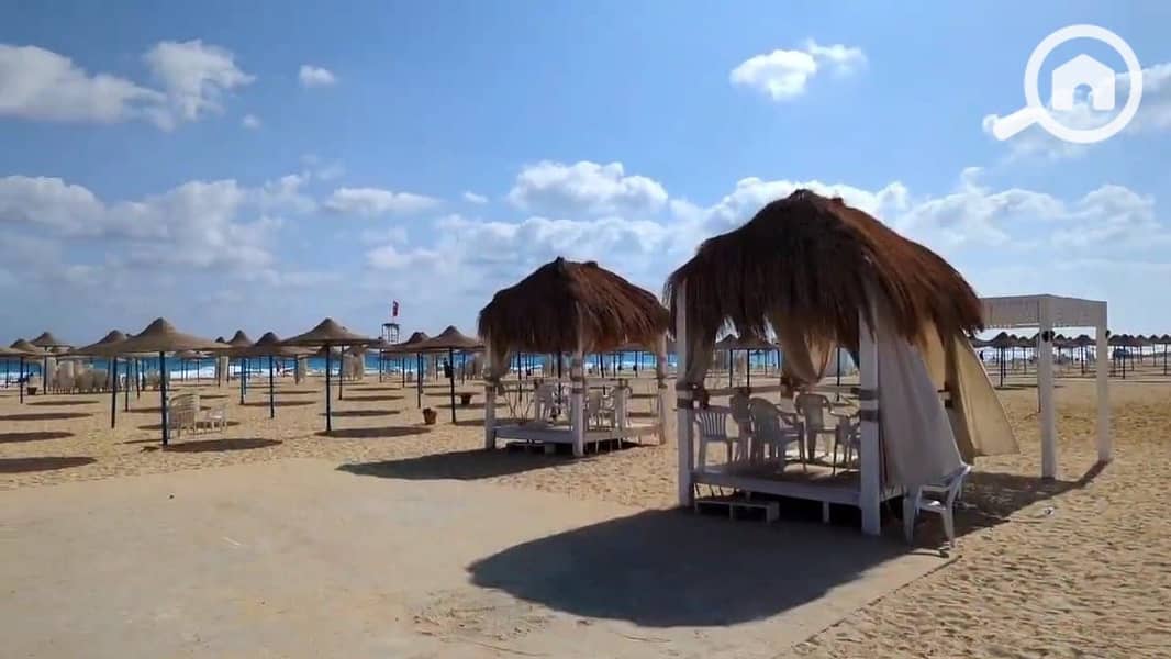 4 5977c73e-8cb8-486f-b634-21ba07a3c902. jpg