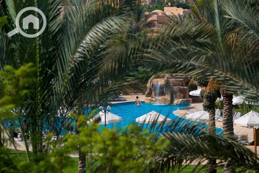 5 b85e235f-e650-4b50-b62c-74aca6899c2b. jpg