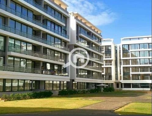 4 448f0535-f19c-4291-82f6-c4b0dae325b7. jpg