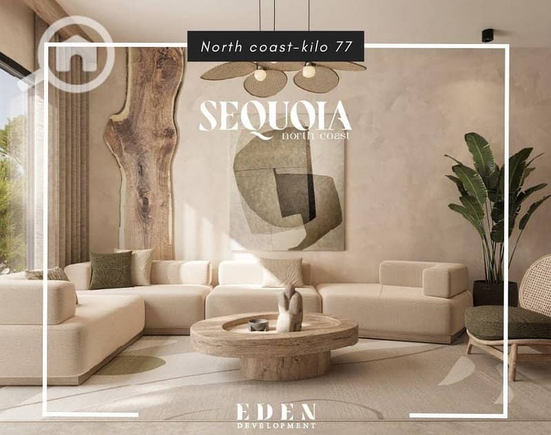 41745e36-1af0-4ab4-88e2-49cc45d9b956. jpg