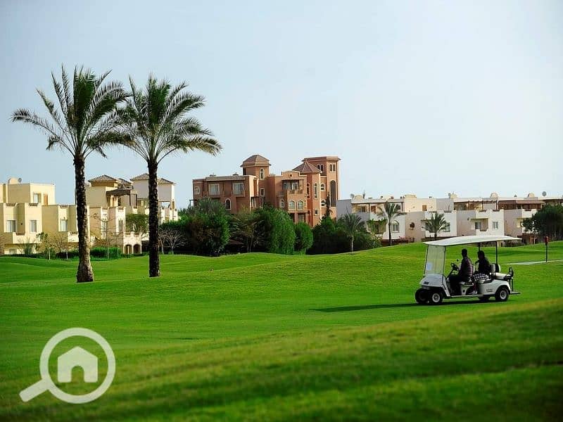 4 965c3150-1be1-420e-9787-9711cc137744. jpg