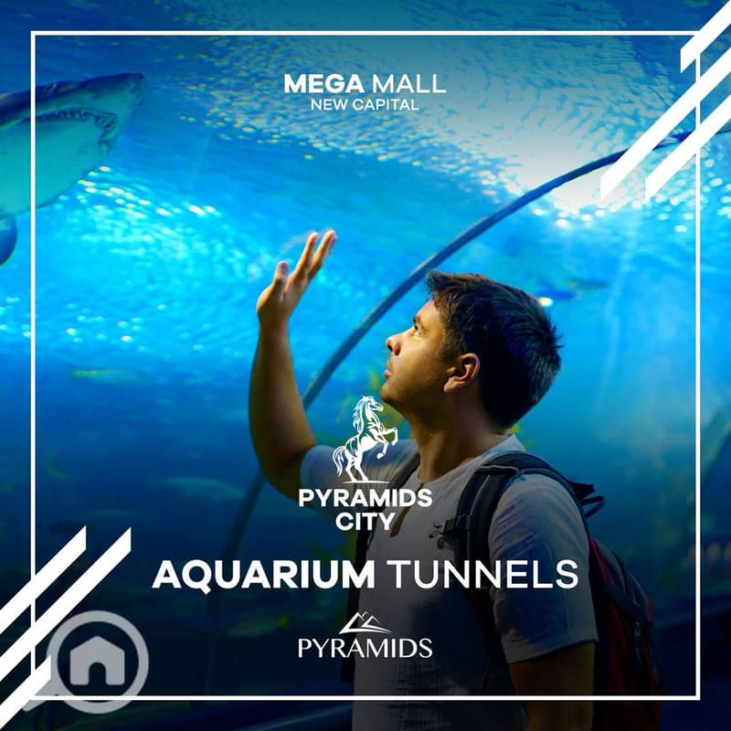 7 280657664_542210914291453_7804829884114572489_n. jpg