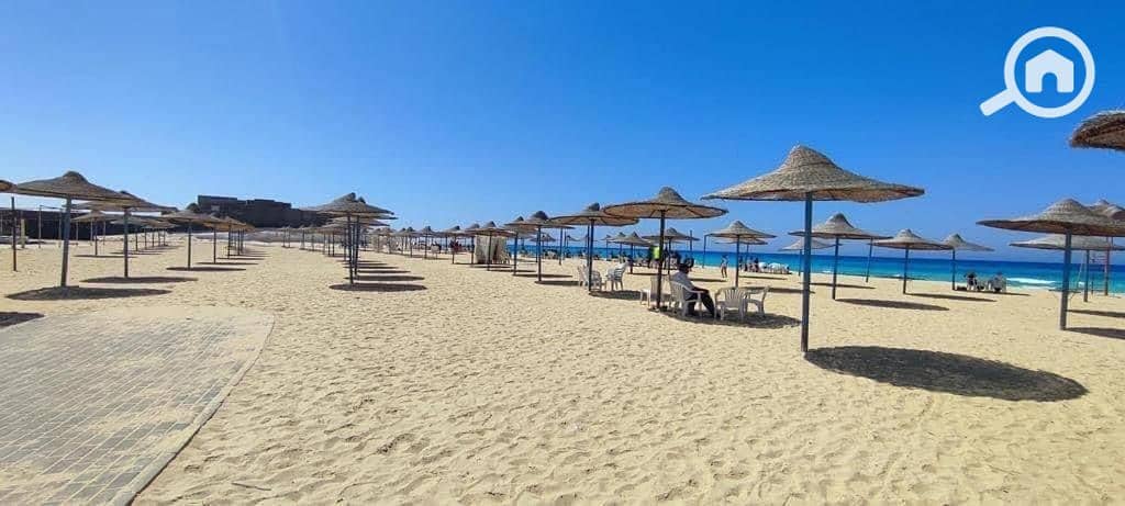 6 photo-el-alamein-24. jpg
