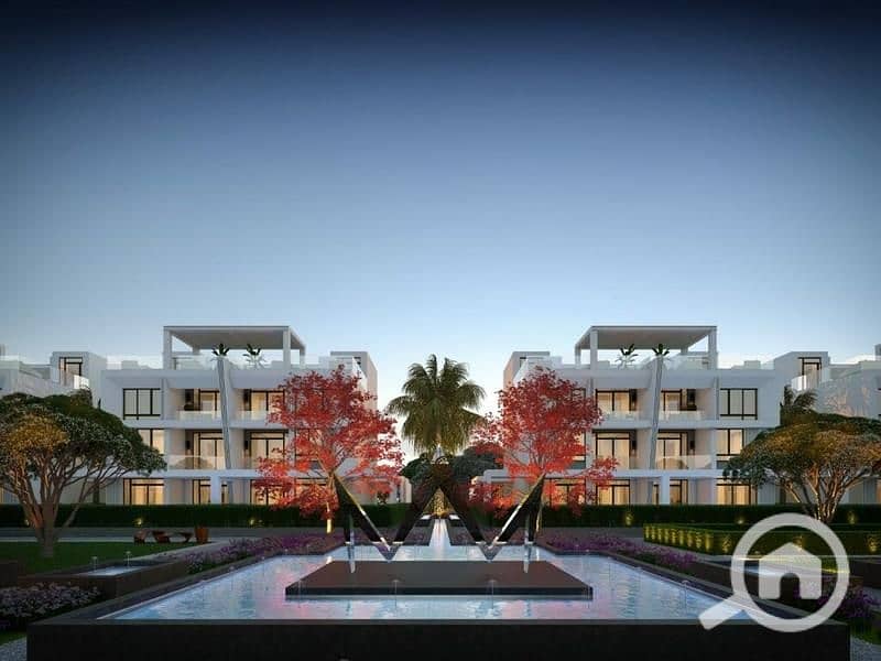 2 4-25-1024x812. jpg