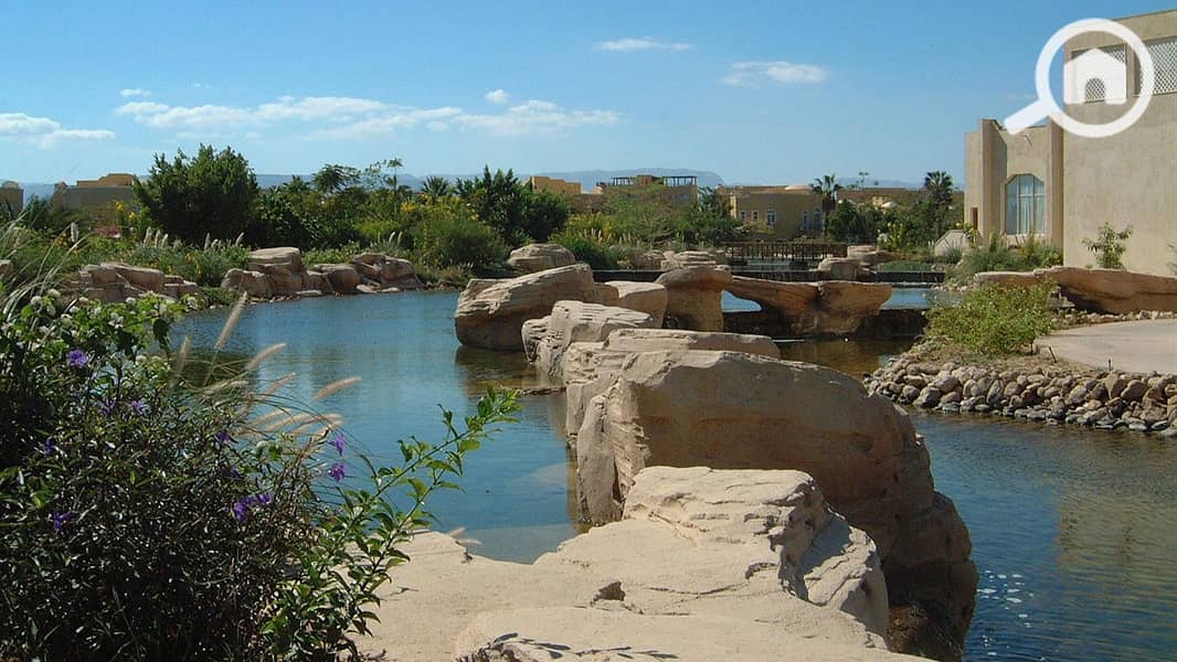6 29678it-resort-garden-nature10. jpg