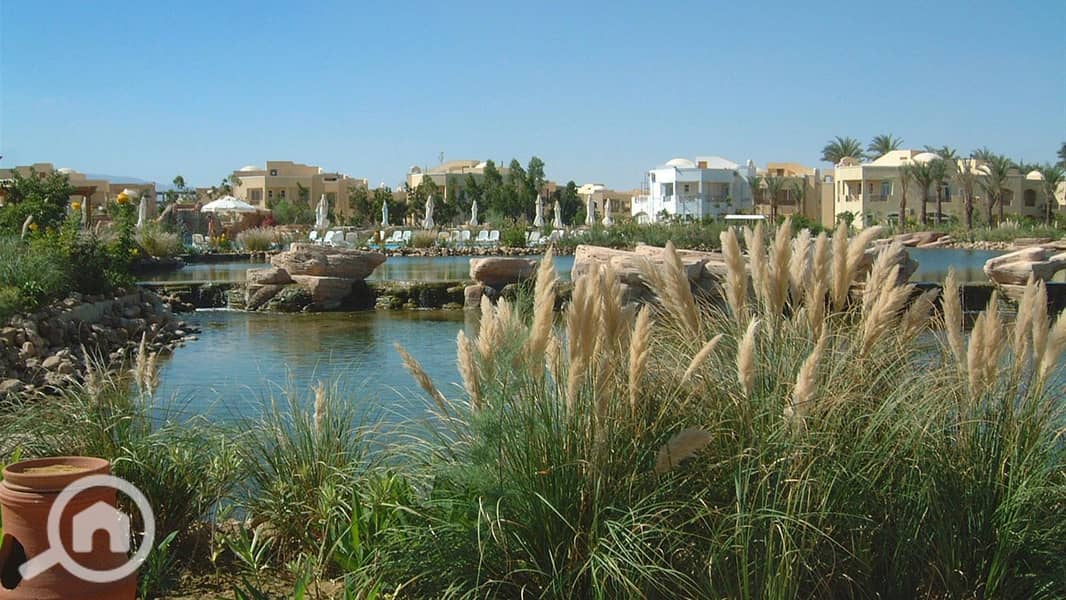 13 29680it-resort-garden-nature12. jpg
