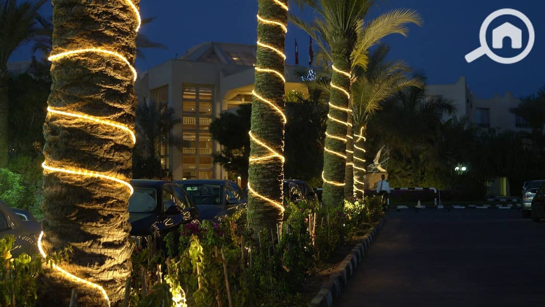 21 29687it-resort-garden-nature19. jpg