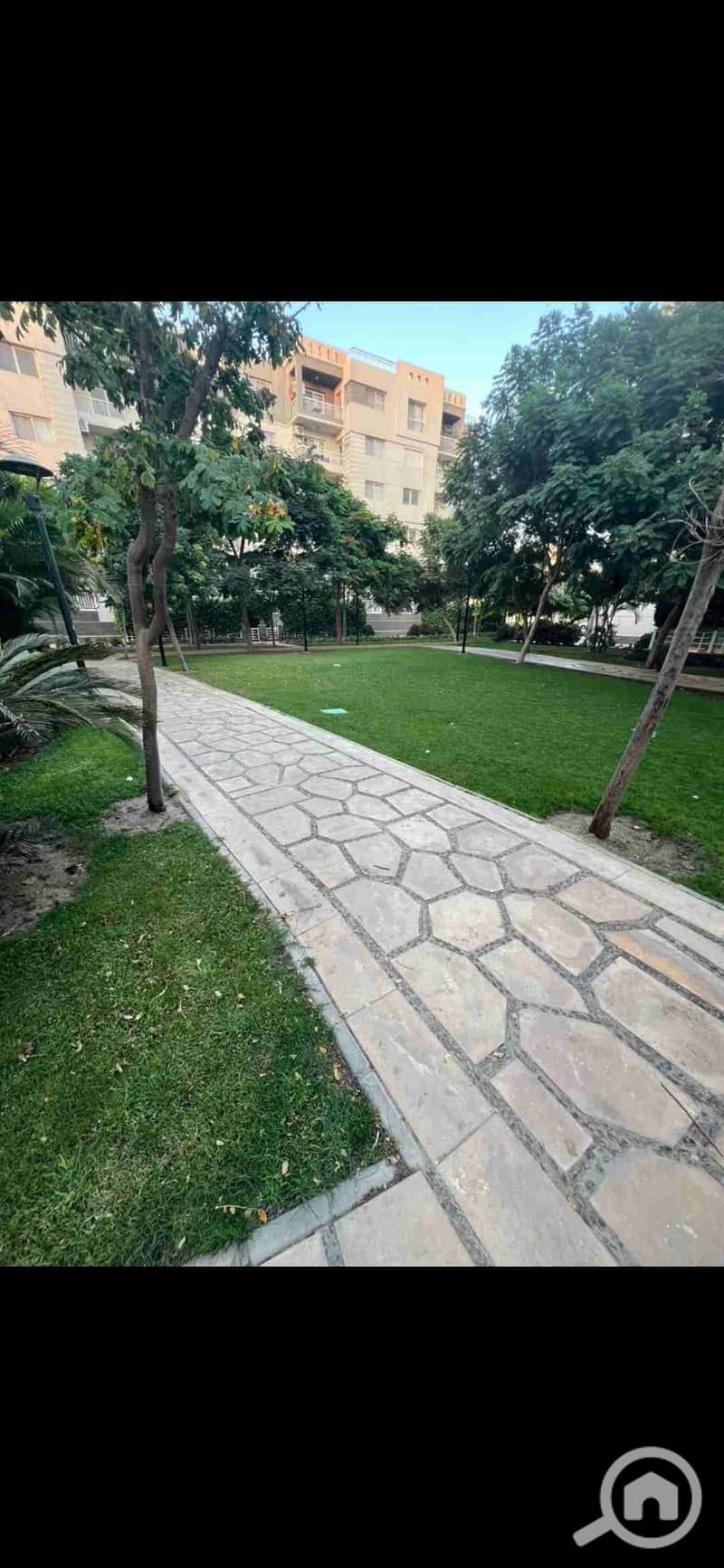 5 1000116284. jpg