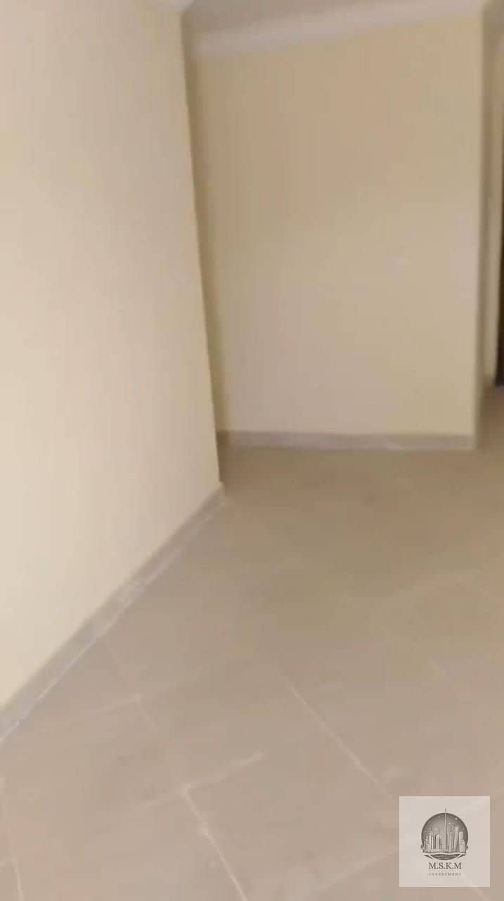 5 5. jpeg