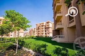 2 اشجار سيتي 4. jpg