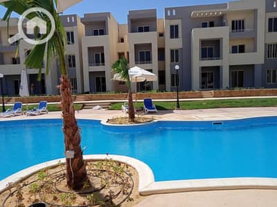 1 Bedroom Chalet for Sale in Ras Sedr, South Sinai - 26825177-af05-430f-bc49-2da25f656b46. jpeg