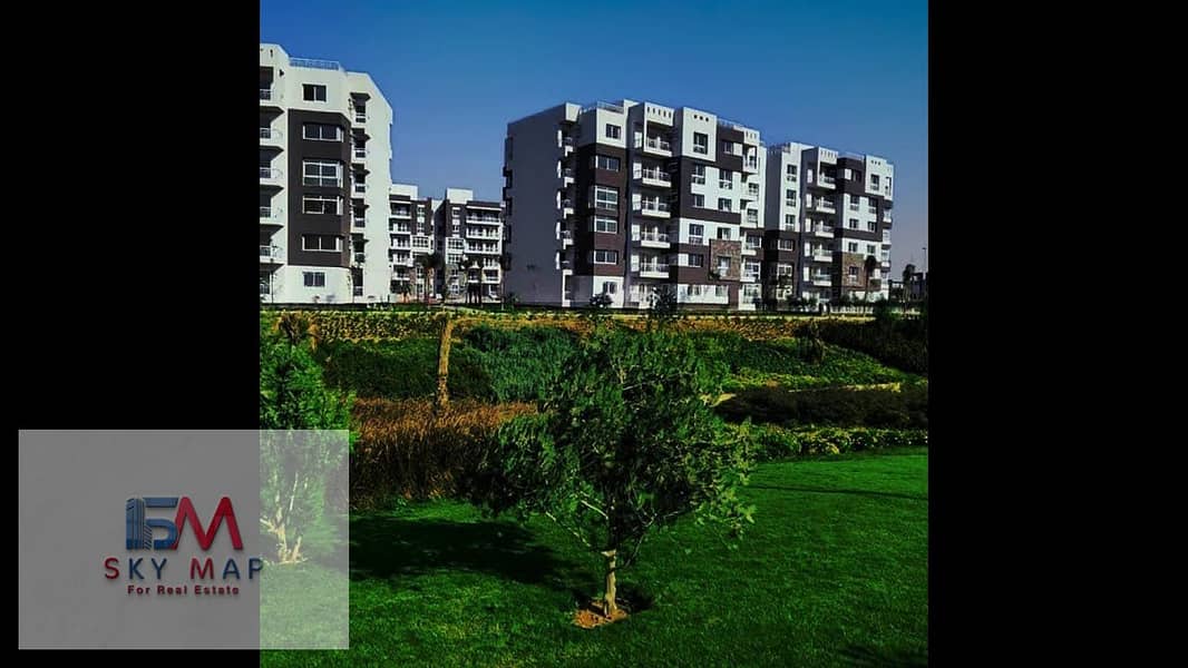 12 maxresdefault (1). jpg