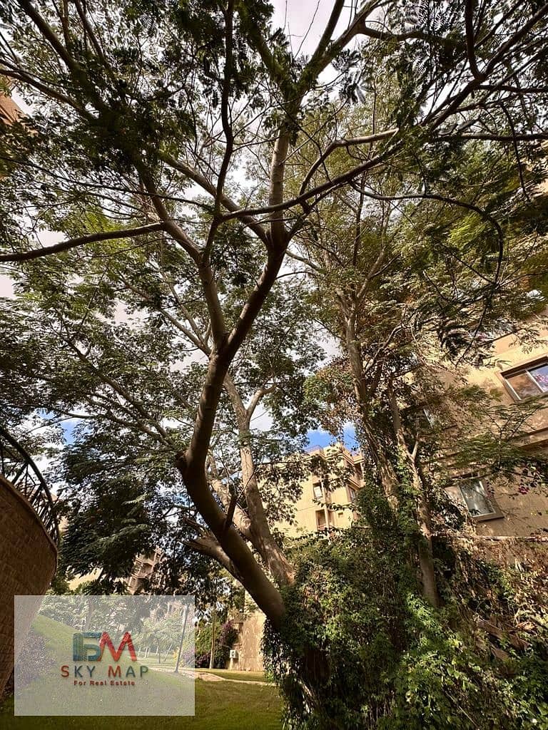 2 446f06cf-9a48-411e-a26b-26e215e032b5. jpg