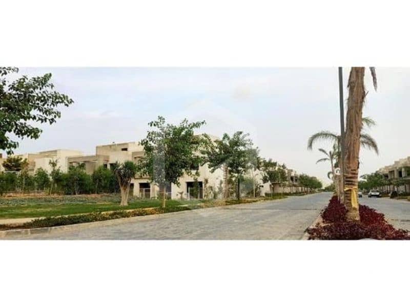 6 Woodville 9. jpg