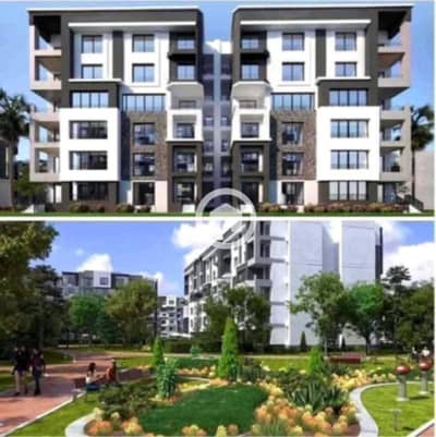 3 Bedroom Flat for Sale in Madinaty, Cairo - WhatsApp Image 2025-09-01 at 3.01. 08 PM. jpeg