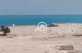 أرض تجارية  للبيع في الساحل الشمالي، مطروح - ارض الساحل الشمالى. jpg