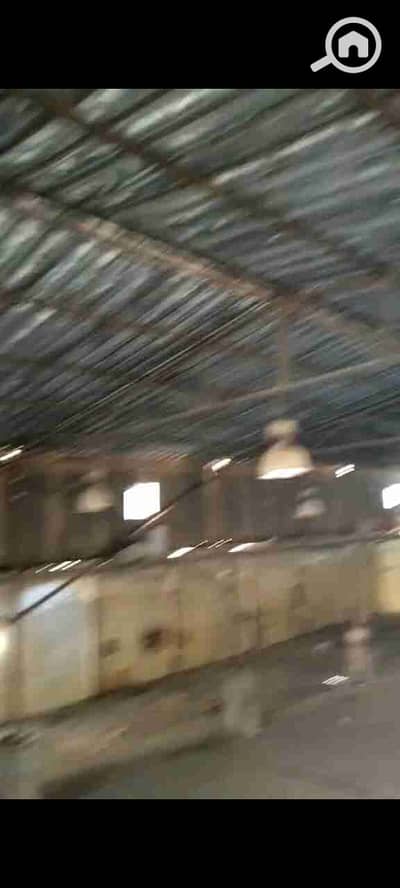 Factory for Rent in 6th of October, Giza - IMG-20251001-WA0050. jpg