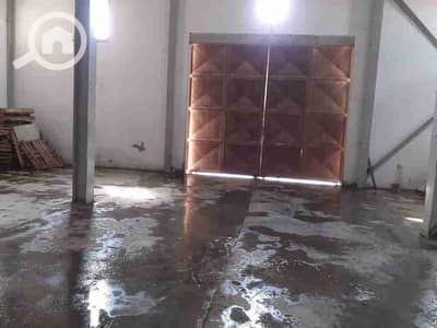 مستودع  للايجار في العاشر من رمضان، الشرقية - 1000091432. jpg