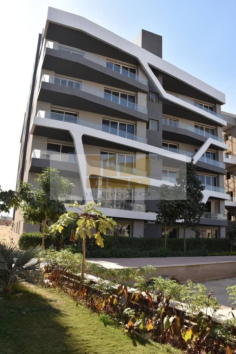 2 WhatsApp Image 2025-10-01 at 4.21. 41 PM. jpeg