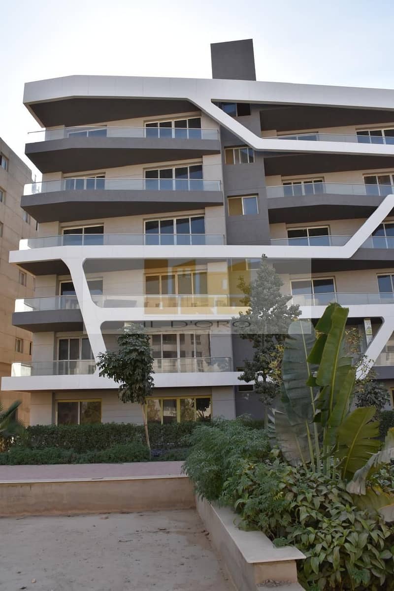 5 WhatsApp Image 2025-10-01 at 4.21. 39 PM. jpeg