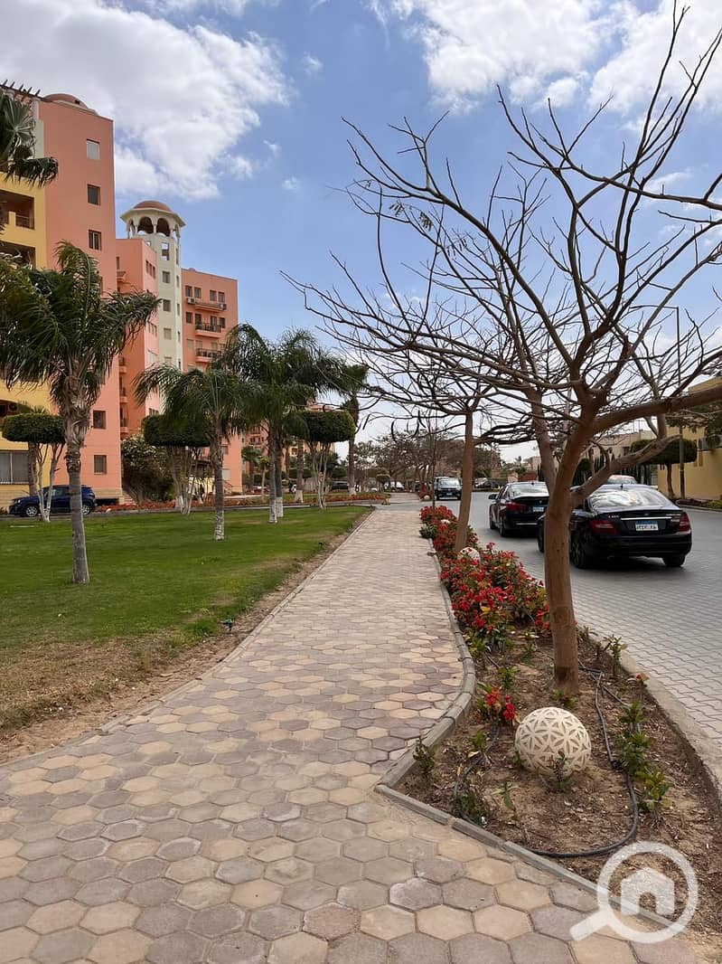 3 ea88fdd4-4f73-44b4-a216-af900943410c. jpeg