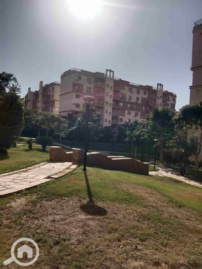 2 Bedroom Flat for Rent in Madinaty, Cairo - 1000239751. jpg