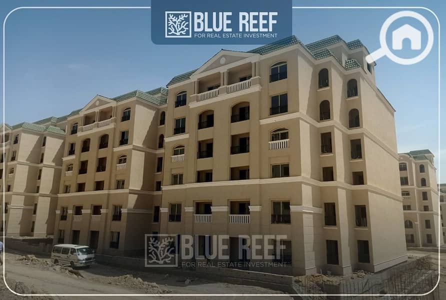 WhatsApp Image 2025-09-30 at 7.50. 06 PM (2). jpeg