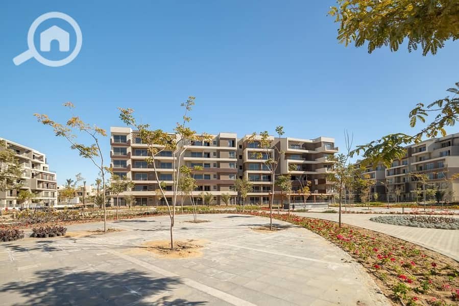 11 WhatsApp Image 2025-08-01 at 09.32. 52_7d812ae6. jpg