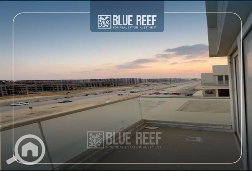 2 Bluereef  - Templete. psdsdfcv (1)-Recovered-xfhg. jpg