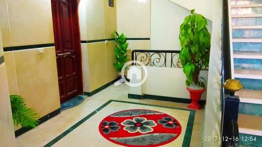 3 Bedroom Apartment for Rent in New Cairo, Cairo - 561106f2-bb7f-40ac-8e84-cb05394569b1. jpg
