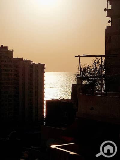 شقة 3 غرف نوم للبيع في العصافرة، الإسكندرية - 558326021_24822111510739273_2229936984617345270_n. jpg