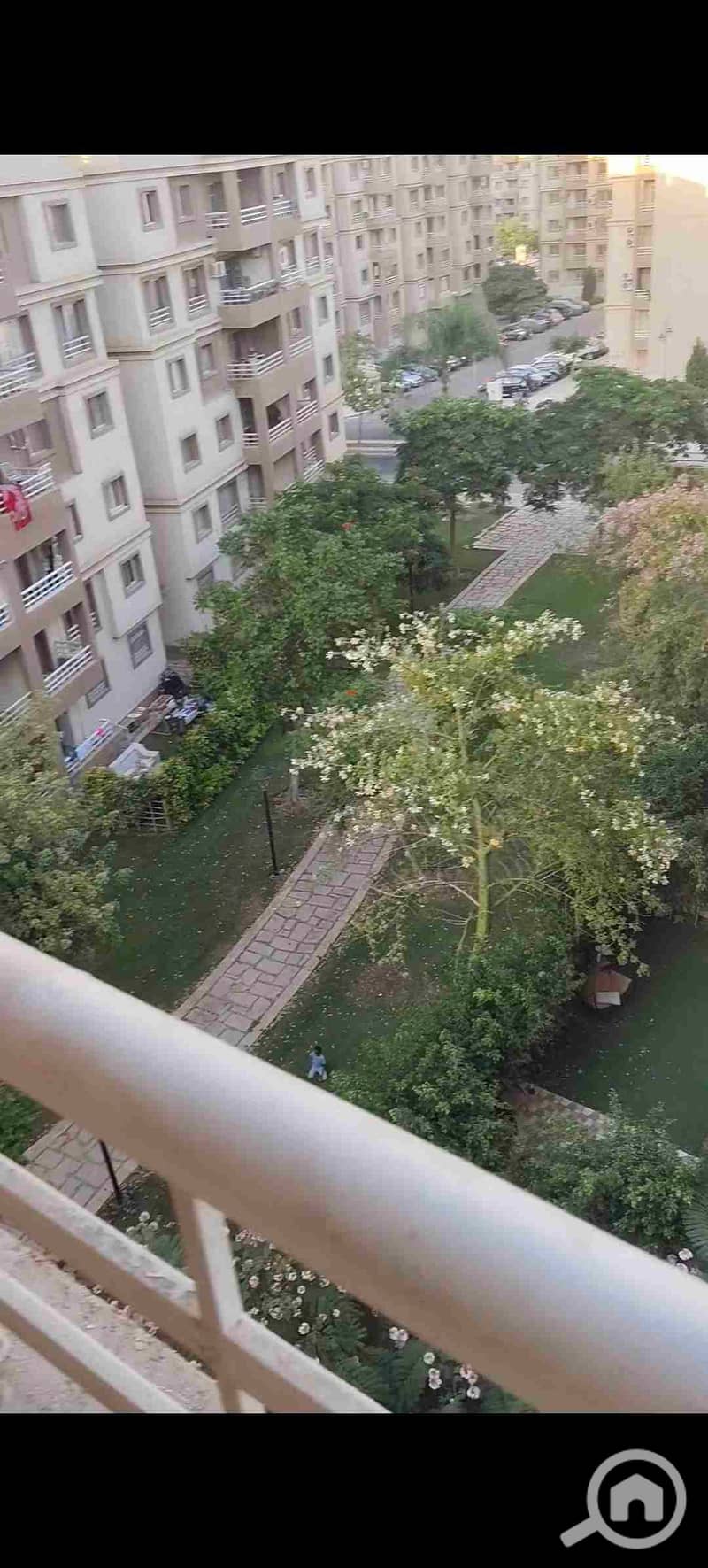1000287172. jpg